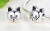 Charms Kotek
