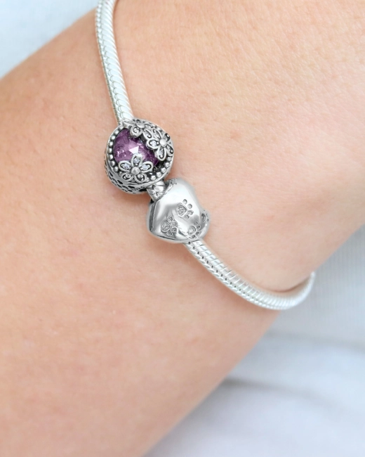 Srebrny Charms Pupil